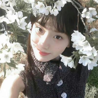 姊妹心粤语